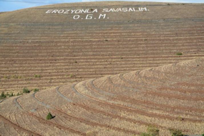 Erzincan’da Ağaçlandırma Ve Erozyonla Mücadele